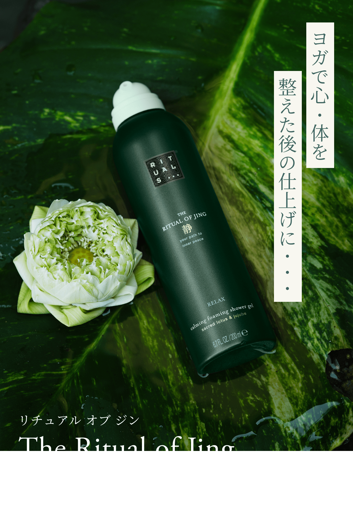 リチュアル オブ ジンのイメージ画像です